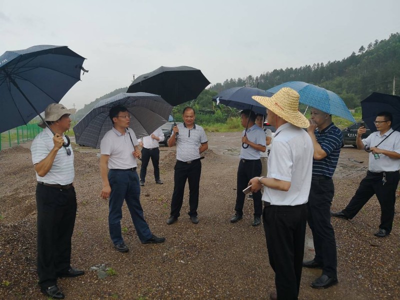 覃仕平县长冒雨现场督查龙圩区饮用水源二级保护区藤县区域环境问题