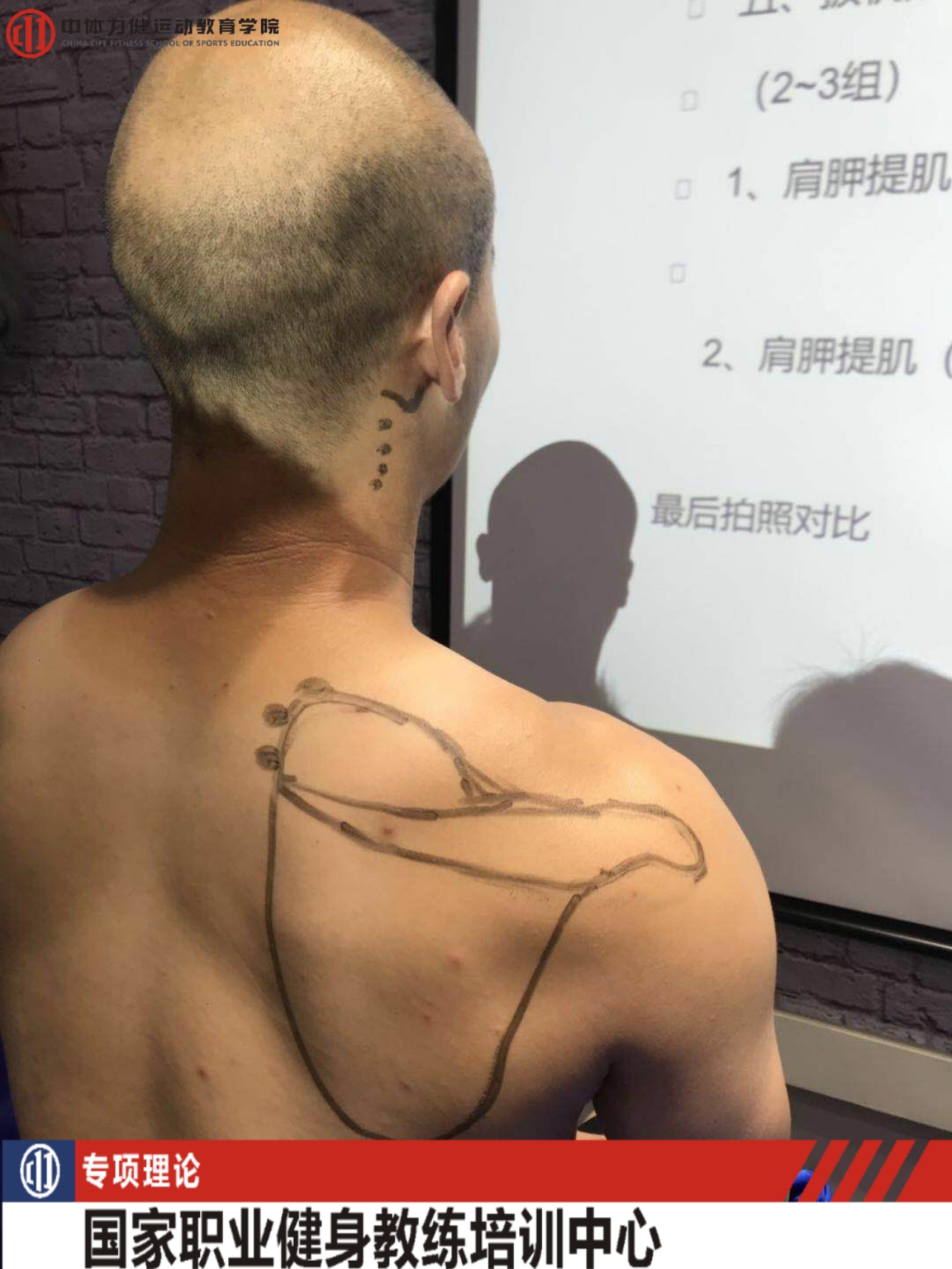 应该如何减脂塑形 758e01f2edf6430793ac4786baa7a54f.jpeg
