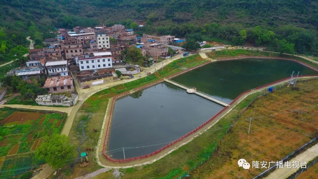 在粤桂协作的帮扶下,乔建镇培正村龙生内屯发生了天翻地覆的变化.