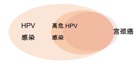 hpv病毒"认罪书":宫颈癌头号元凶,80%以上女性一生中会被感染