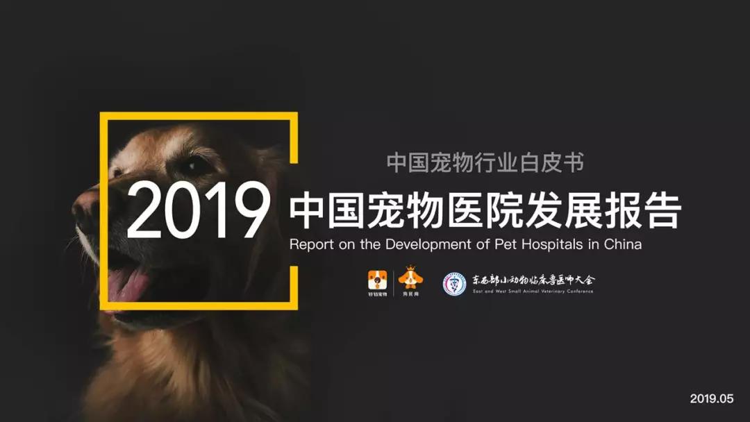 中国宠物诊疗领域的首份公开报告：《2019中国宠物医院发展报告》