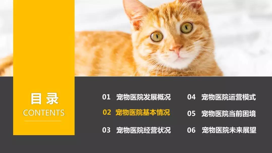 中国宠物诊疗领域的首份公开报告：《2019中国宠物医院发展报告》
