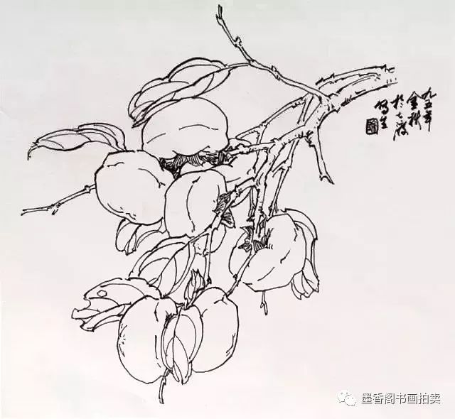 国画教程写意柿子的画法含视频