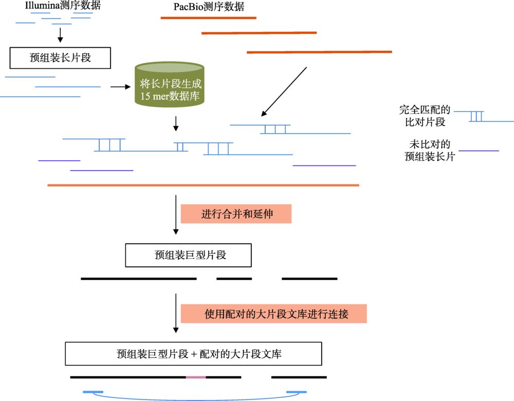 综述一文读懂复杂基因组测序技术