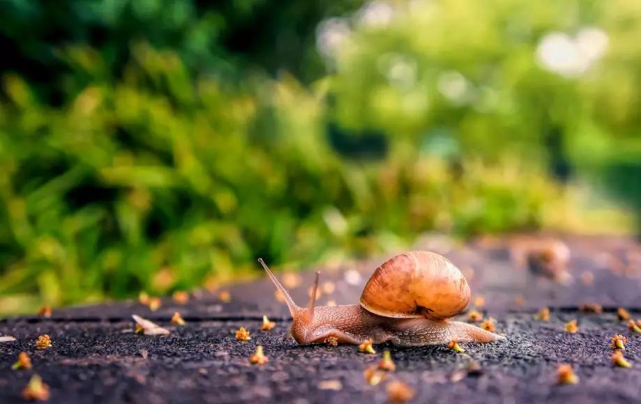                     小满至| 爱养生得你不要错过这篇文章哦！