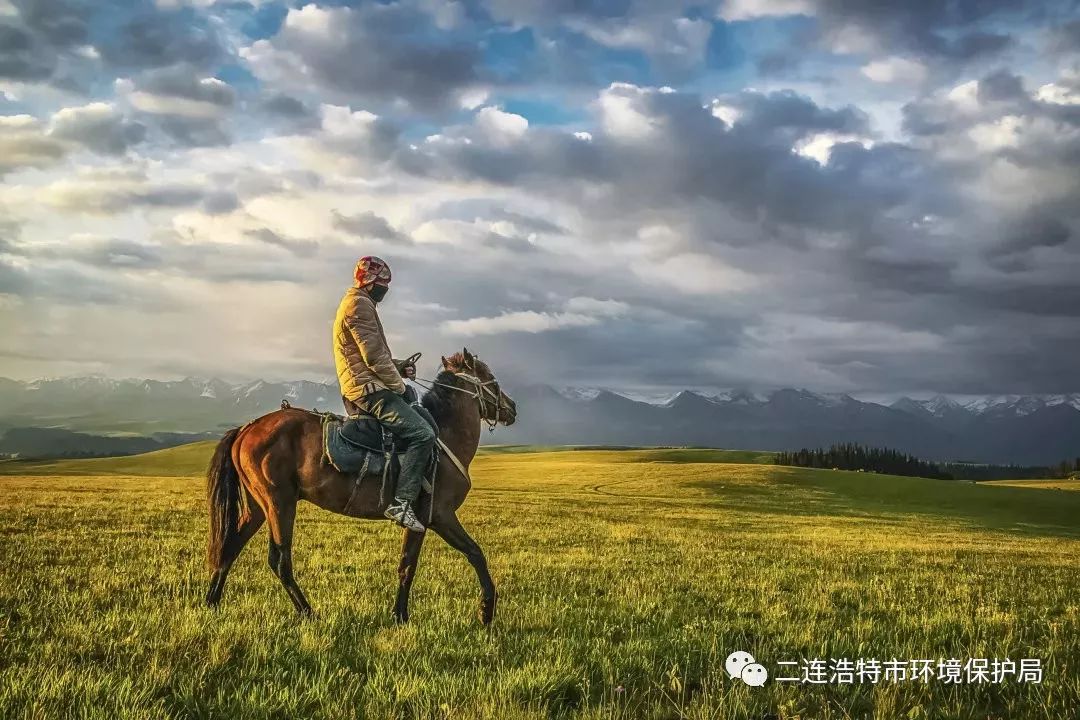 作品名称:美丽的草原我的家