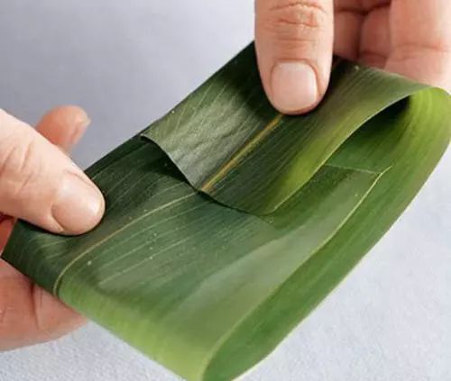 这种粽子多见广西等地,一般用粽叶包裹,粽叶非常宽大,像芭蕉叶一般图片