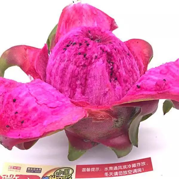 越南红心火龙果低至7.9元/斤,特价包邮,你还在犹豫吗?