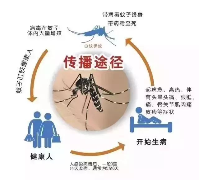 龙舟水来袭,这类传染病即将高发!蓬江街坊,尤其老人小孩要注意!