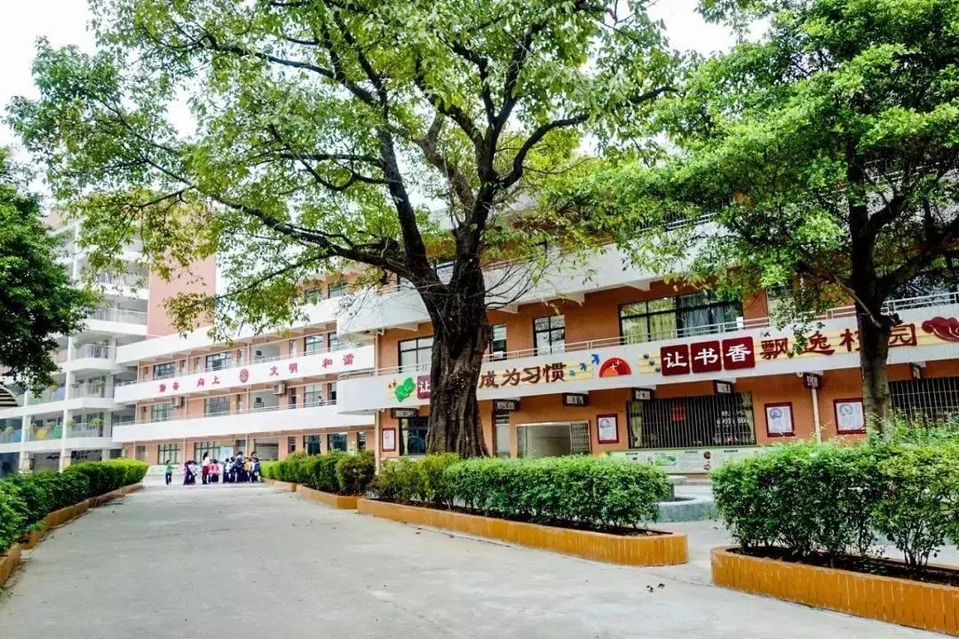 芦塘小学校园一景