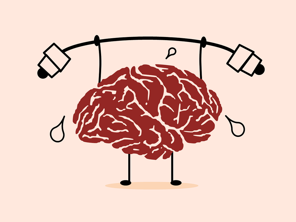 一孕傻三年，到底有没有科学依据？揭露孕后大脑真相！