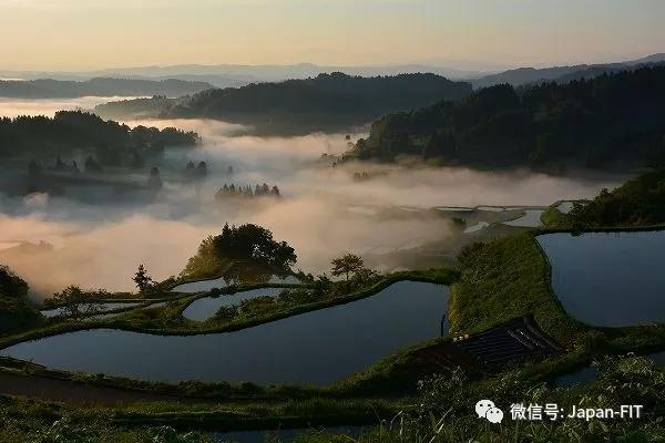 日本新潟旅游关键词 让世界游人瞠目的新潟绝景感动 治愈 神秘集于一体 天鹅