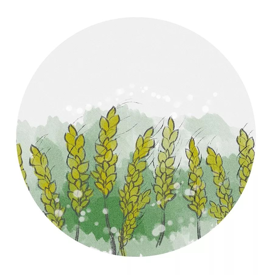 小满