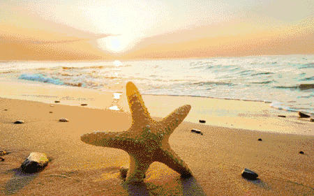 拆了珠海最美海滩升级打造半岛公园珠海人的马尔代夫