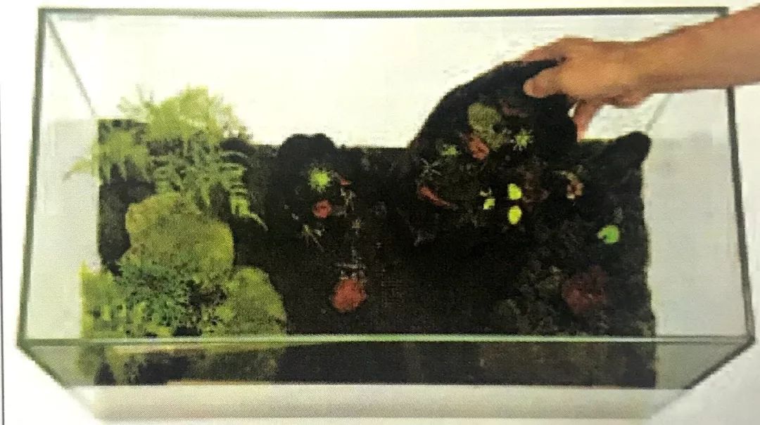 d7438ba2631f4fa584110e6d42c895f0.jpeg