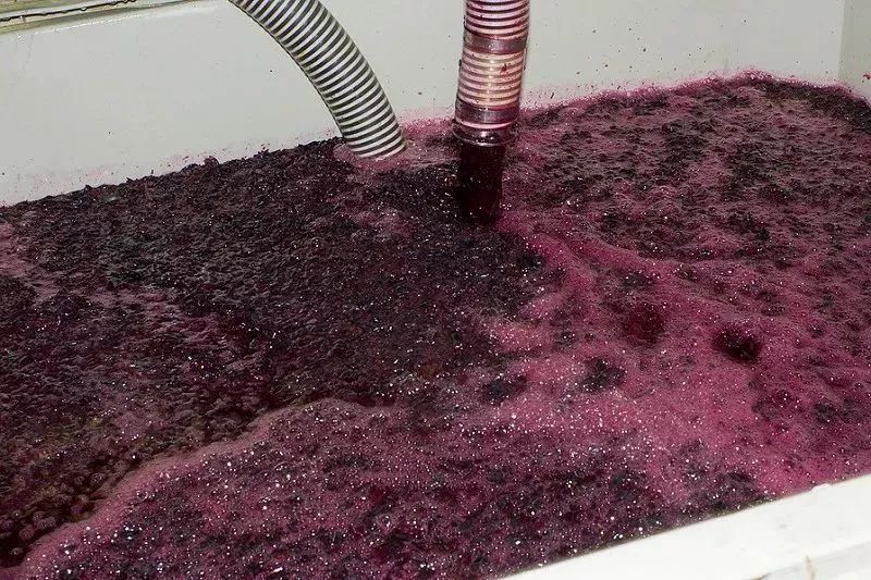 史上最全葡萄酒酿造过程附高清实景图