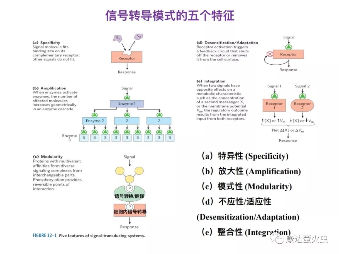 d9765d14ec5e48dea7a5bdc7827324ed.jpeg