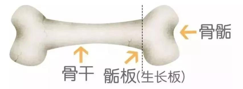                     父母一个坏习惯，让孩子少长13cm！肠子都要悔青了！