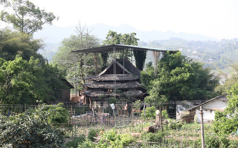 木洞不只有格桑花,江心岛草甸适合拍照,撒欢_中坝村