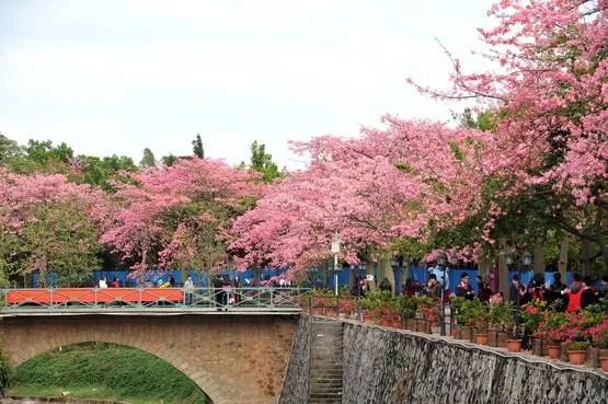 广州大学华软软件学院