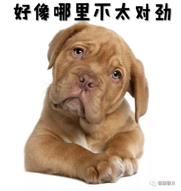 03015e00c9144749ae780f6bdd3cb8b5.jpeg