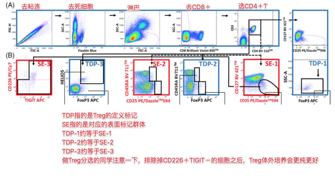 这管方案,可能能够解答不少Treg分析和