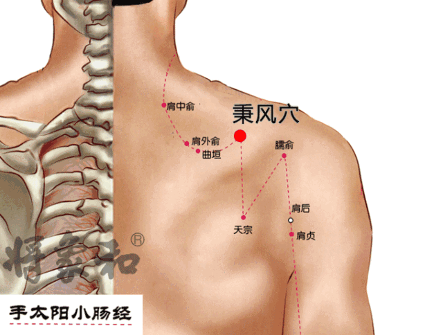 位置:在肩胛骨冈上窝中央,天宗穴直上,举臂有凹陷处.