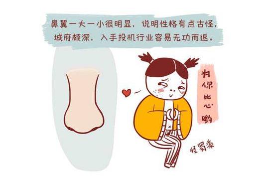 鼻看一生财,什么样的鼻子能聚财,什么样的鼻子