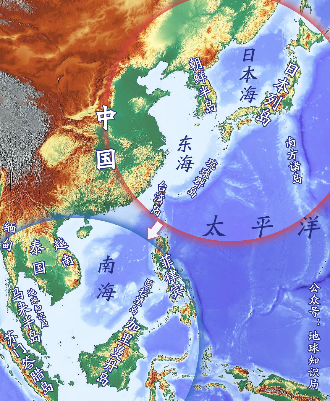 文章配图