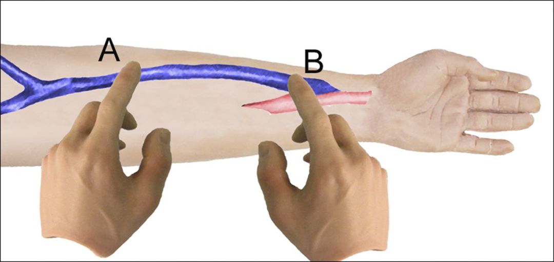 图 7,增强测试.左手(a)用于阻塞流出通道,右手(b)用于评估脉搏强度.