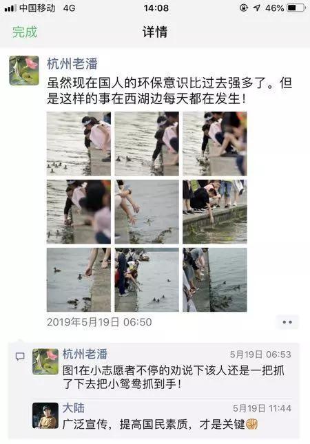 去杭州西湖旅游的人，请放过那些小鸳鸯，很多已经死在游客手中