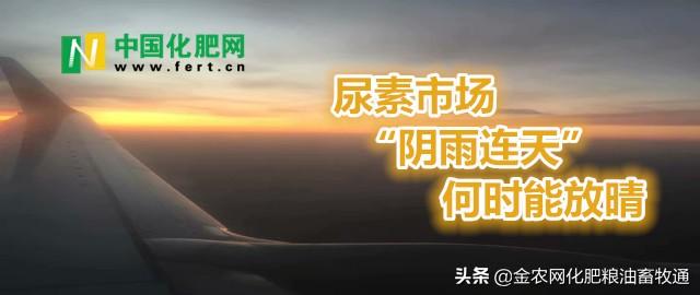 什么时候才能放晴 2bf67dc3be0944ddb701b415786151a2.jpeg