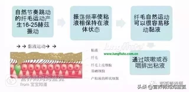                     宝宝有痰怎么办？化痰只是治标，减少痰液产生才是根本