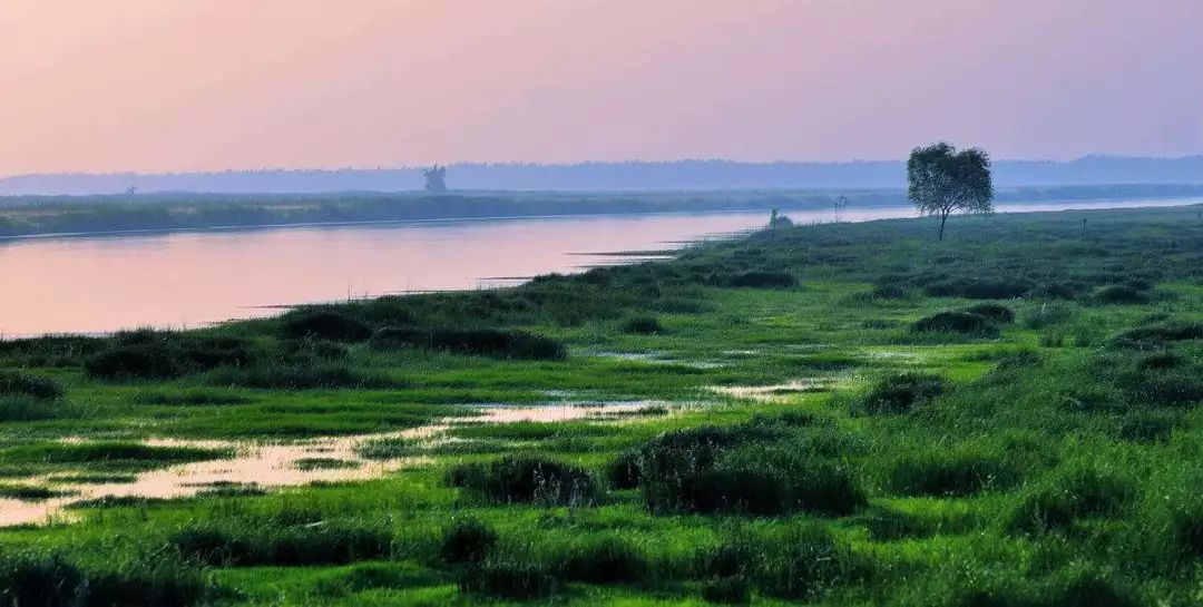 宿鸭湖清淤扩容工程一波好音信传来！宿鸭湖清淤扩容、商南高快年内通车、冷水河桥建成运用(7)