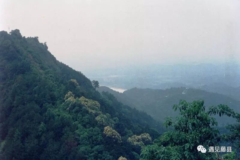 藤县有许多名山,金鸡镇海拔470多米巍峨秀丽的小娘山应该算入藤县的