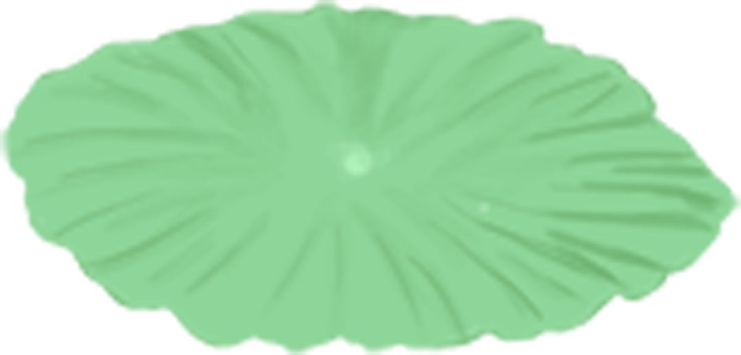 古诗词吟唱公开课走进中科院植物所