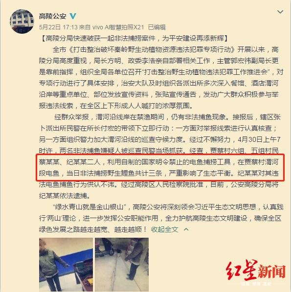 陕西2村民捕3条鲤鱼被批捕官方:不在数量,电击捕鱼违法