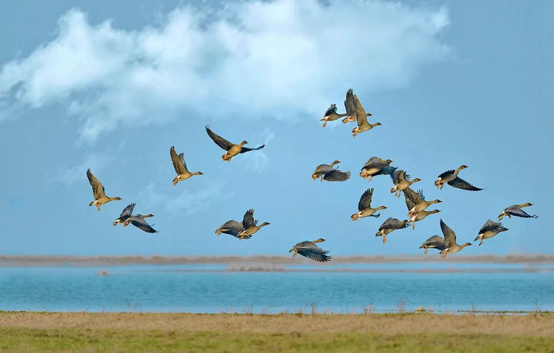 宿鸭湖清淤扩容工程一波好音信传来！宿鸭湖清淤扩容、商南高快年内通车、冷水河桥建成运用(4)