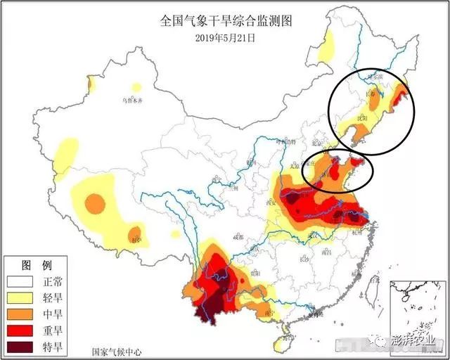 河北山东辽宁!吉林黑龙江内蒙!26日北方大范围降雨,缓解干旱