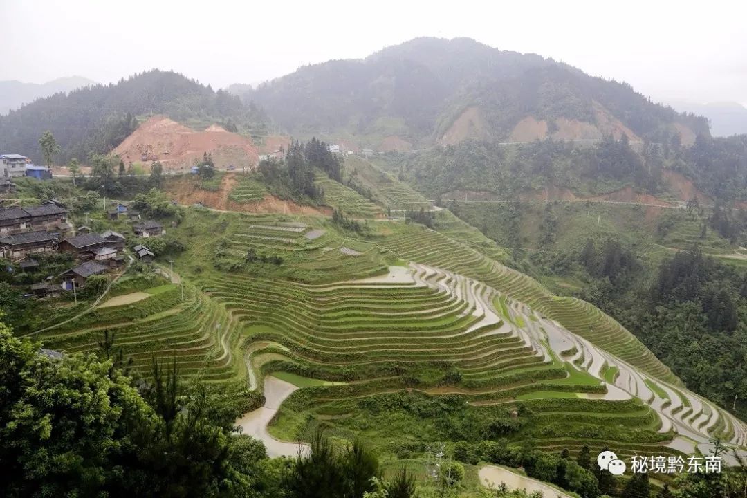 进入小满时节,地处贵州省从江县西部月亮山腹地的加勉乡,风景秀丽