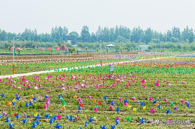 来盘锦游玩,这个地方一定要去!盘锦七彩庄园!