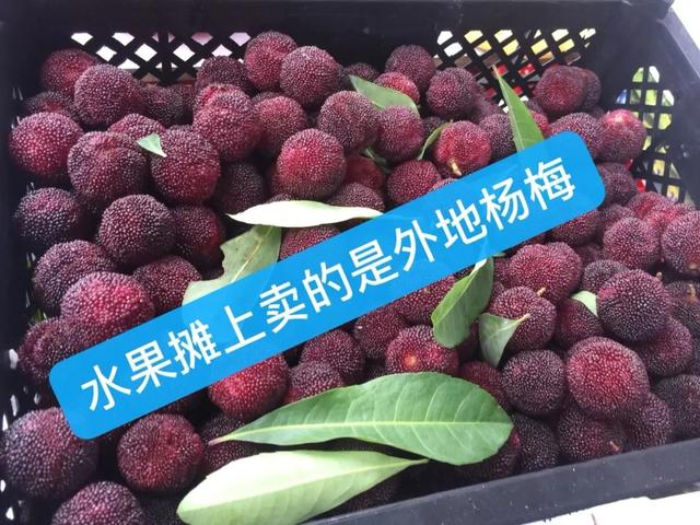 2019年的仙居杨梅已经上市了?真相是
