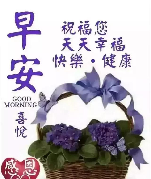 远方的我在祝福你,早安!