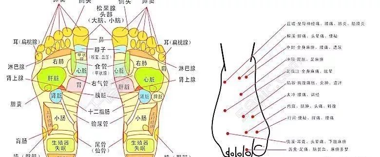 最全的脚部高清穴位反射图,哪里有病一看便知(果断收藏)