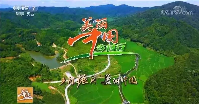 又上央视了!CCTV【美丽乡村中国行】长篇报道【梦里老家】 凯旋门娱乐手机投注