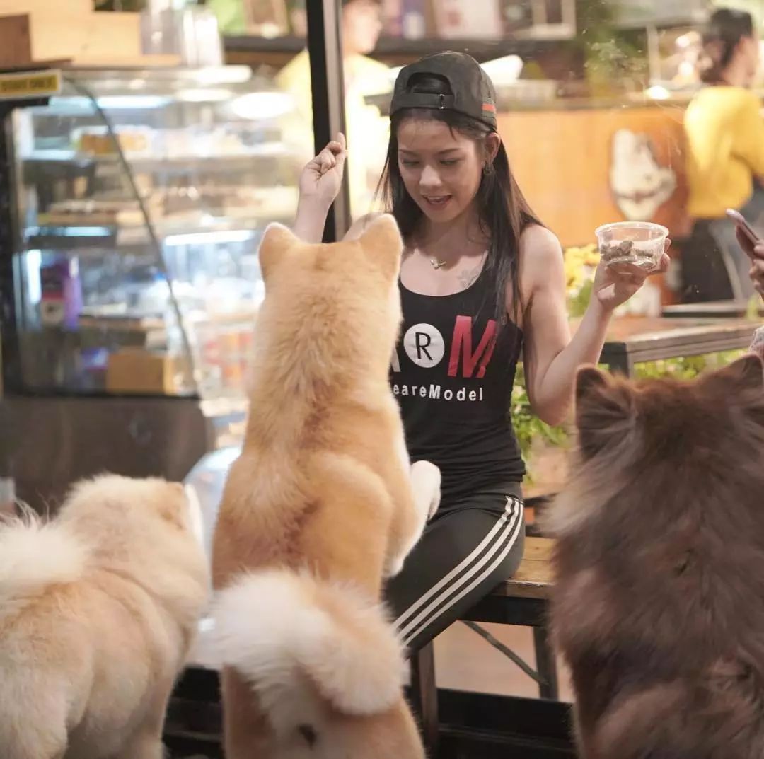 這家狗狗咖啡館除了賣飲品甜食，還販賣超大份的治愈！ 未分類 第8張