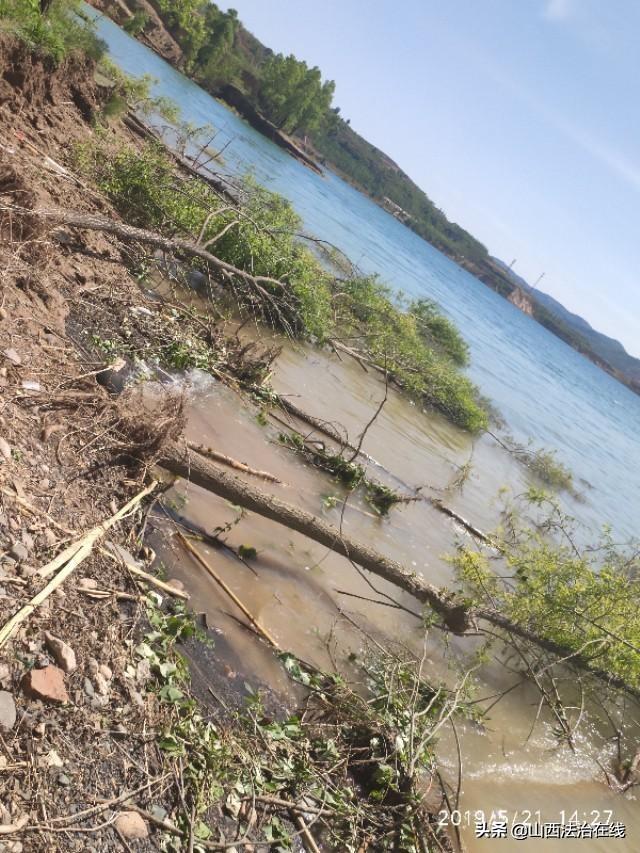 山西方山:横泉水库水位上涨,大批树木横躺水中