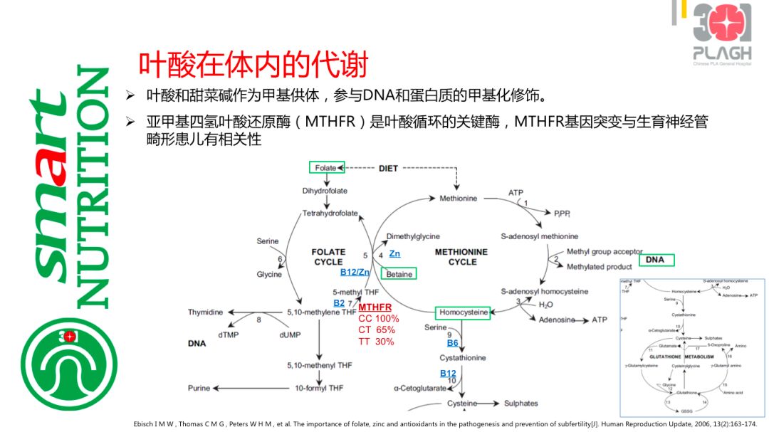 叶酸,影响经期吗?