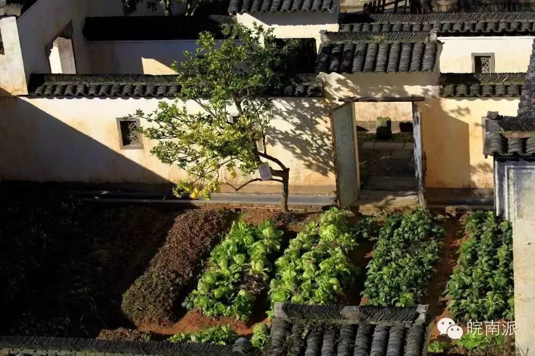 守拙园|何处寻桃源 守拙归园田