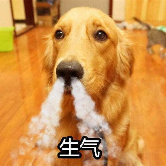 88eca639ad3b431e83c6ce6d4c872e6e.jpeg